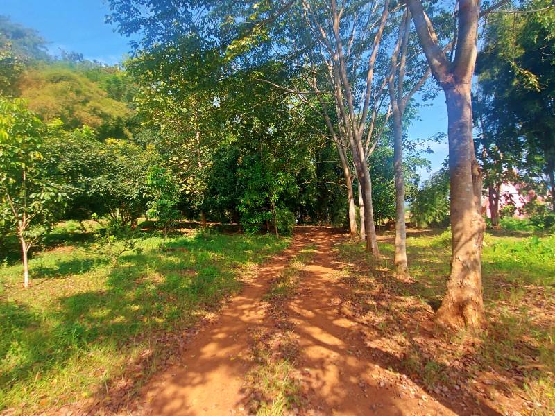 Charming Lakeside Property with 5 Acres of Land in Nang Lae, Chiang Rai - house and land in Nang Lae