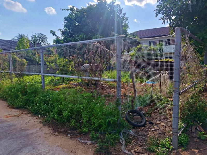 Land with House Near Chiang Rai Rajabhat University - Prime Location - Image# 1
